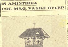 Unde este Troița de la Câmpu Mare?