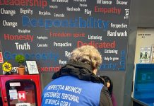 Gorj: Amenzi de sute de mii de lei, aplicate de ITM