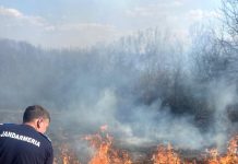 FOTO, VIDEO| Căpreni: Incendiu lângă conductele de produse petroliere! Intervenție a jandarmilor