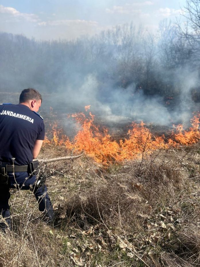 FOTO, VIDEO| Căpreni: Incendiu lângă conductele de produse petroliere! Intervenție a jandarmilor