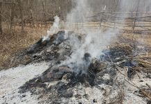 Peștișani: Amendat cu 10.000 de lei pentru că a dat foc unor deșeuri