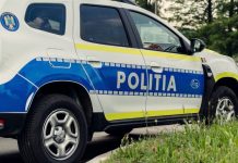 Crimă la Licurici. Și-a ucis fratele cu târnăcopul