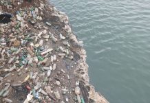 Igienizare a Jiului, la barajul Ișalnița