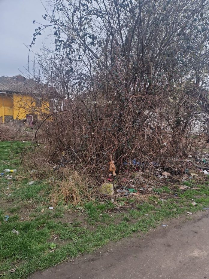 Târgu Jiu: Șase persoane au fost amendate de Garda de Mediu