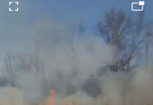 FOTO, VIDEO| Sute de incendii de vegetație! Pădurile din Gorj, în pericol!