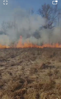 FOTO, VIDEO| Sute de incendii de vegetație! Pădurile din Gorj, în pericol!