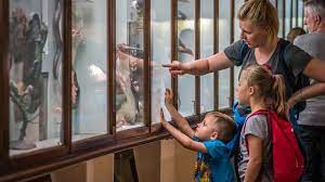 Intrare gratuită în muzee pentru copii și tineri
