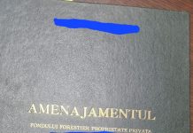 Schela: Proprietar de pădure, amendat cu 60.000 de lei