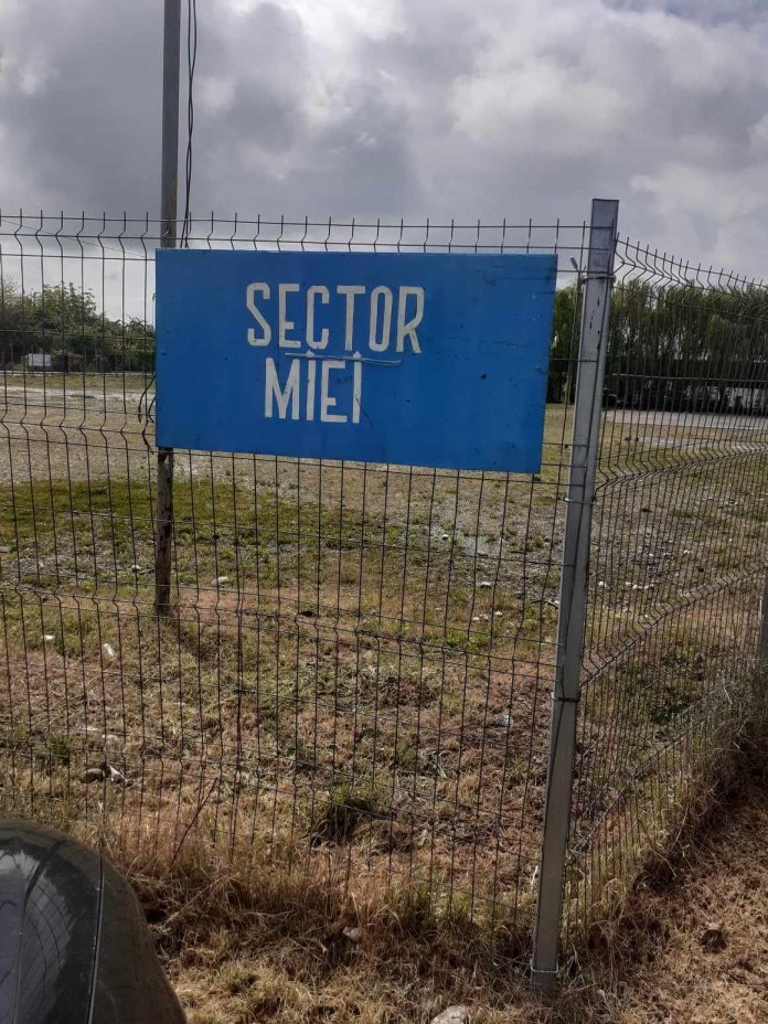 438781635_7782586018438622_8869953100001491645_n