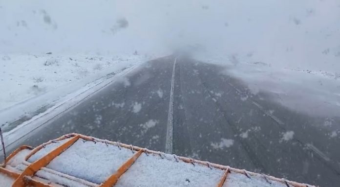 VIDEO – Ninge la Rânca