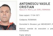 Probleme penale pentru „Cristi, bă Cristi!”