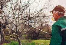 Agricultura pe înțelesul tuturor – Protecția fitosanitară a pomilor fructiferi