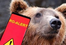 Primarul din Polovragi cere socoteală autorităților județene, după atacul urșilor