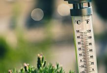 Ești pregătit pentru sezonul cald? Iată cum să pregătești locuința pentru a evita temperaturile ridicate din timpul verii