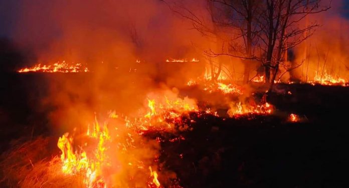 Gorj: Pompierii încearcă să stingă încă trei incendii de vegetație