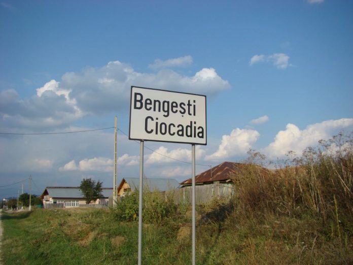 bengesti-ciocadia1