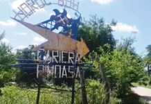 Licitație pentru transportul minerilor de la Pinoasa