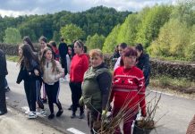 Săptămâna Verde, la Roșia de Amaradia. S-au plantat 600 de puieți de frasin, paltin și gorun
