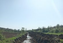 Decolmatare pe 2,2 km a pârâului Mierea, la Crușeț