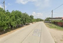 Opt oferte pentru modernizarea drumului județean Târgu Jiu – Țicleni