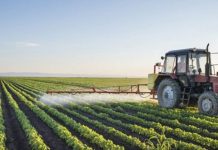 Agricultura pe înțelesul tuturor – Calendarul lucrărilor agricole în luna aprilie