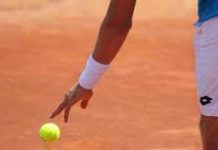 Craiova va găzdui un meci de Cupa Davis