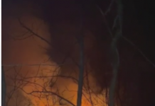 Incendiu de vegetație la Dănești