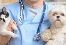Servicii veterinare de peste 800.000 de lei, scoase la licitație de DSVSA pentru trei comune din Gorj