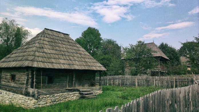 muzeu curtisoara (2)