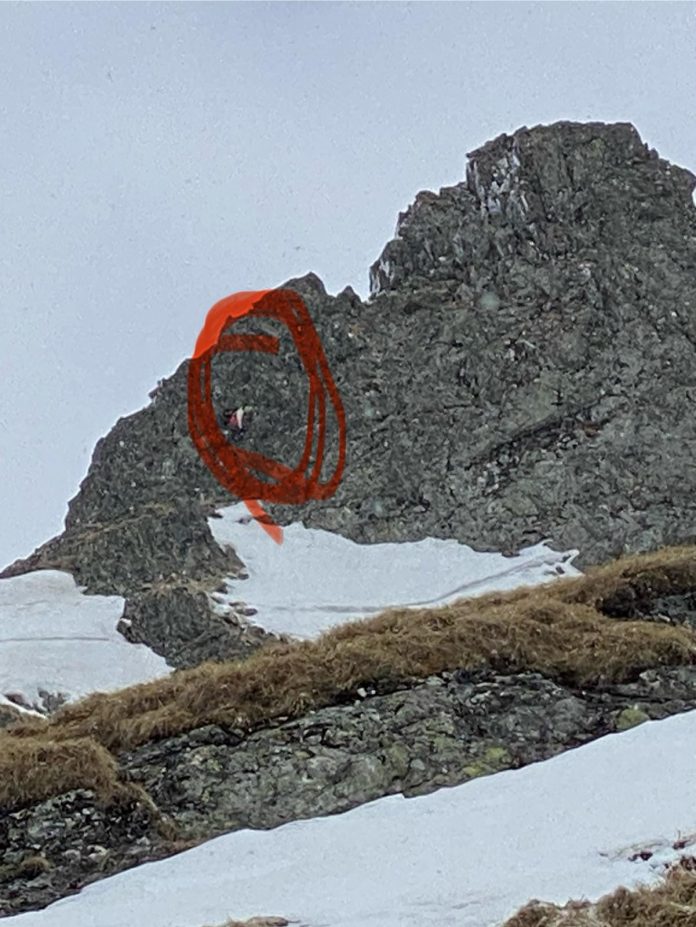 Echipele Salvamont, din 12 județe, încearcă să salveze un cetățean străin – în masivul Făgăraș