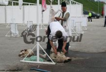 Câți miei se estimează că se vor sacrifica în Gorj înainte de Paște