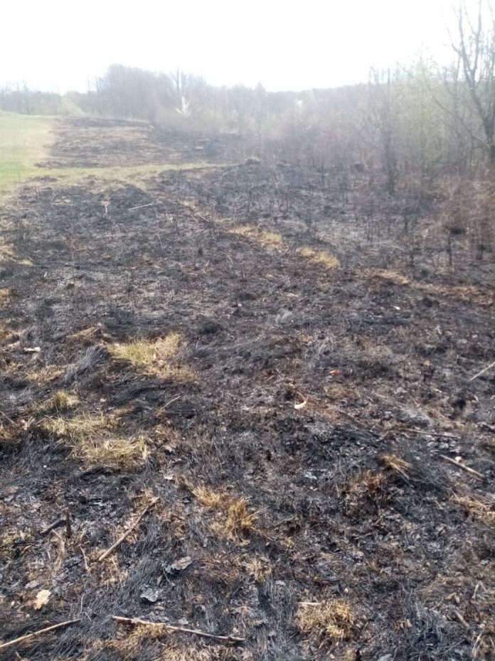 Licurici: Amendă de 10.000 de lei pentru că a dat foc vegetației