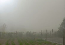 Bankwatch, cu ochii pe termocentralele CEO: Poluare la Turceni