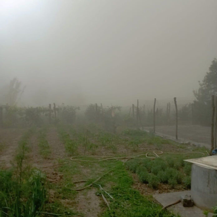 Bankwatch, cu ochii pe termocentralele CEO: Poluare la Turceni