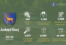 PTJ: Câte proiecte au depus IMM-urile din Gorj