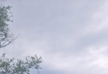 Prohibiție: Pescari amendați