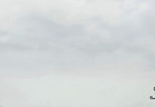 Poliția a deschis dosar penal după accidentul mortal de la Turceni