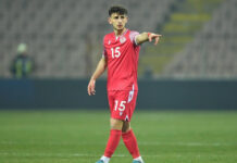 Mekvabishvili va juca la EURO 2024