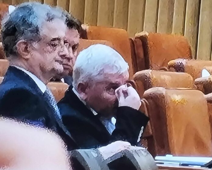 Altercație în Parlament între Dan Vîlceanu și Florin Roman