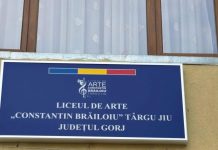 Elevii Liceului de Arte „Constantin Brăiloiu”, câștigători la olimpiade naționale