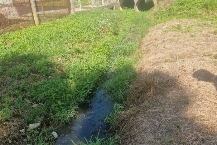 39c8f34e-84c8-4cad-bd55-d3062431220d