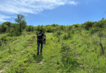 Căutat prin tufișuri, găsit la un verișor acasă!