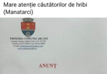 Alertă de urși la Arcani!