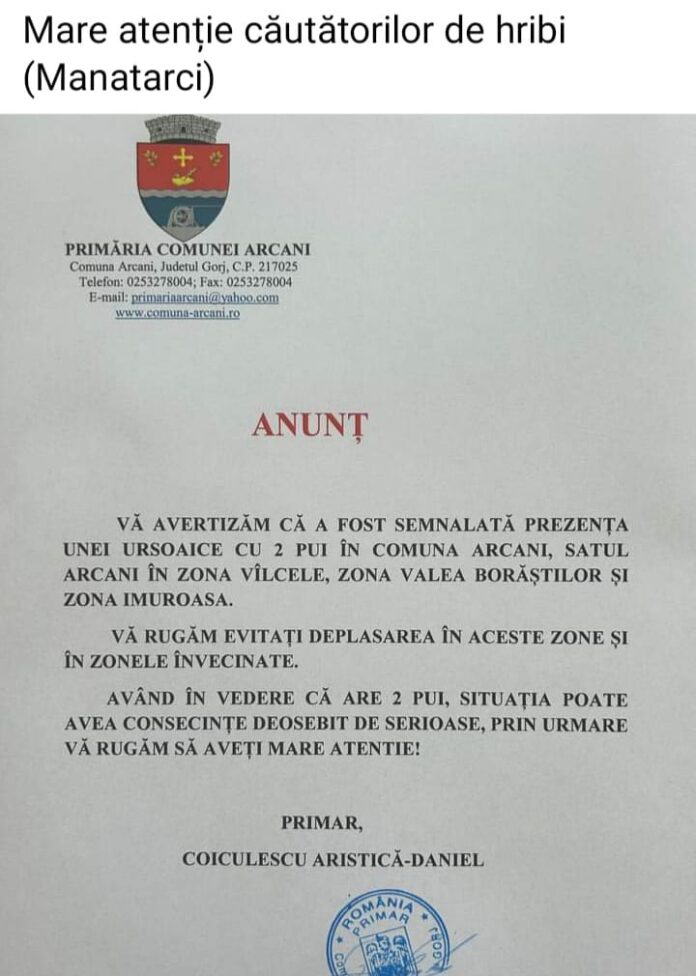 Alertă de urși la Arcani!