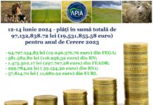 APIA: Plăți de peste 97 milioane lei pentru Campania 2023