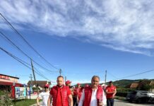 PSD a câștigat Primăria Bolboși