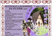 O nouă ediție a festivalului de lavandă de la Târgu Jiu!