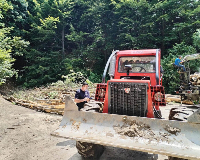 Runcu: Transporta bușteni prin albia unui pârâu de munte. Amendă!