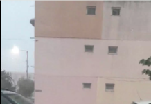 Cod roșu! Furtună în județ. Copaci căzuți, curți inundate, parbrize sparte