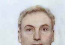 In memoriam – ISTORICUL ROMEO-DAN NEGULEASA